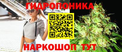 mdpv Первоуральск