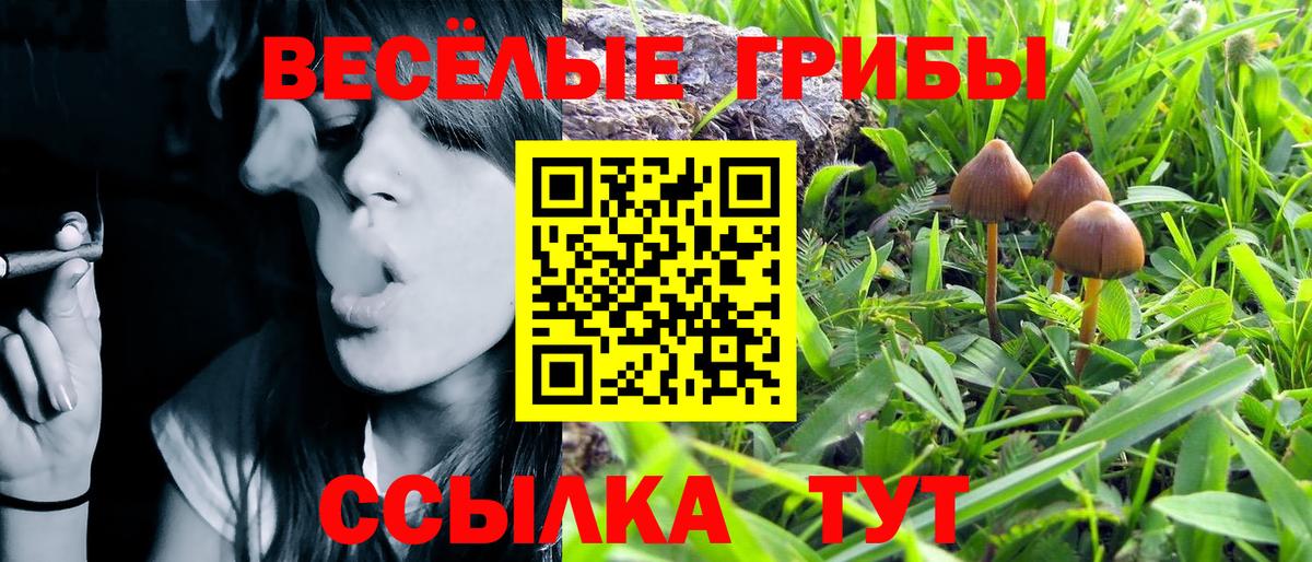 ГАШ  КОКАИН  Сокол  Alpha-PVP СК кристаллы  Канабис  Вход с VPN  МЕФ кристаллы 