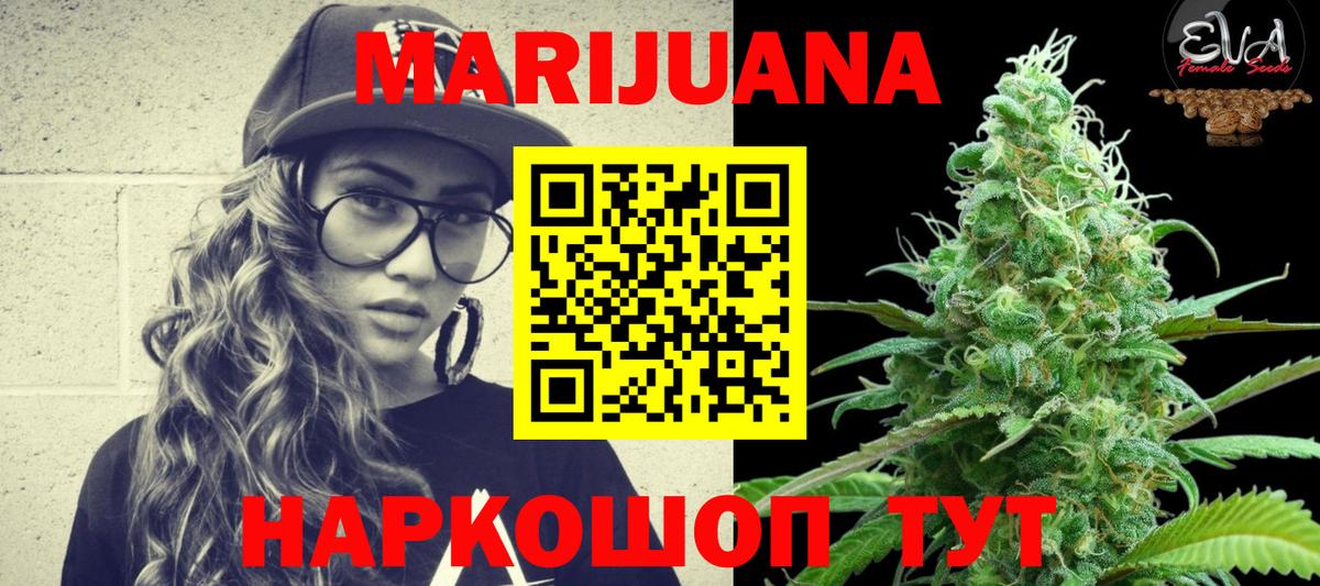 МАРИХУАНА сатива Сокол